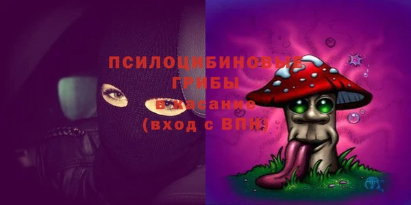 мдма Каменка